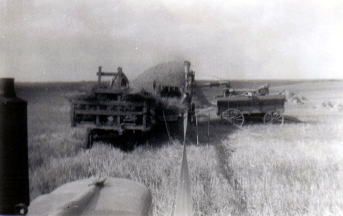 Ingulsrud Farm